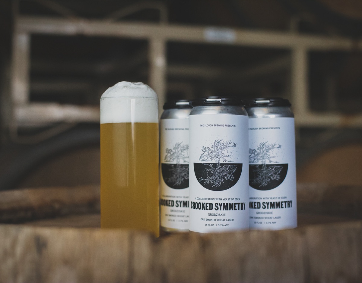 Crooked Symmetry, The Slough X Yeast of Eden
