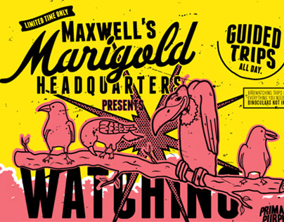 Maxwells Marigold Headquarters Watching